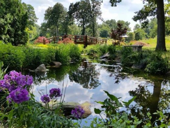 Wellfield-Botanic-Gardens