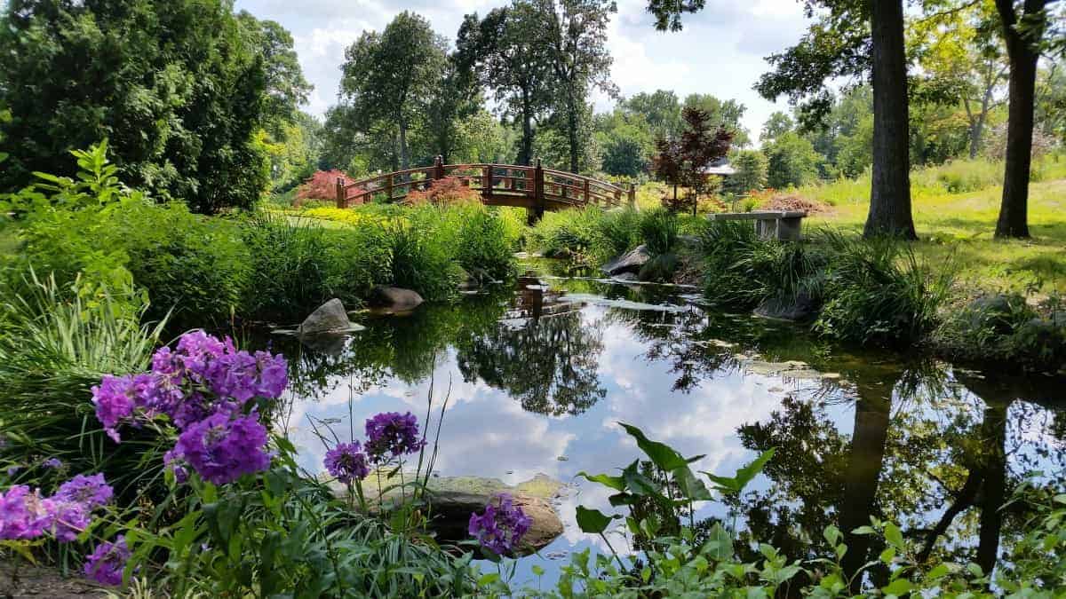 Wellfield-Botanic-Gardens