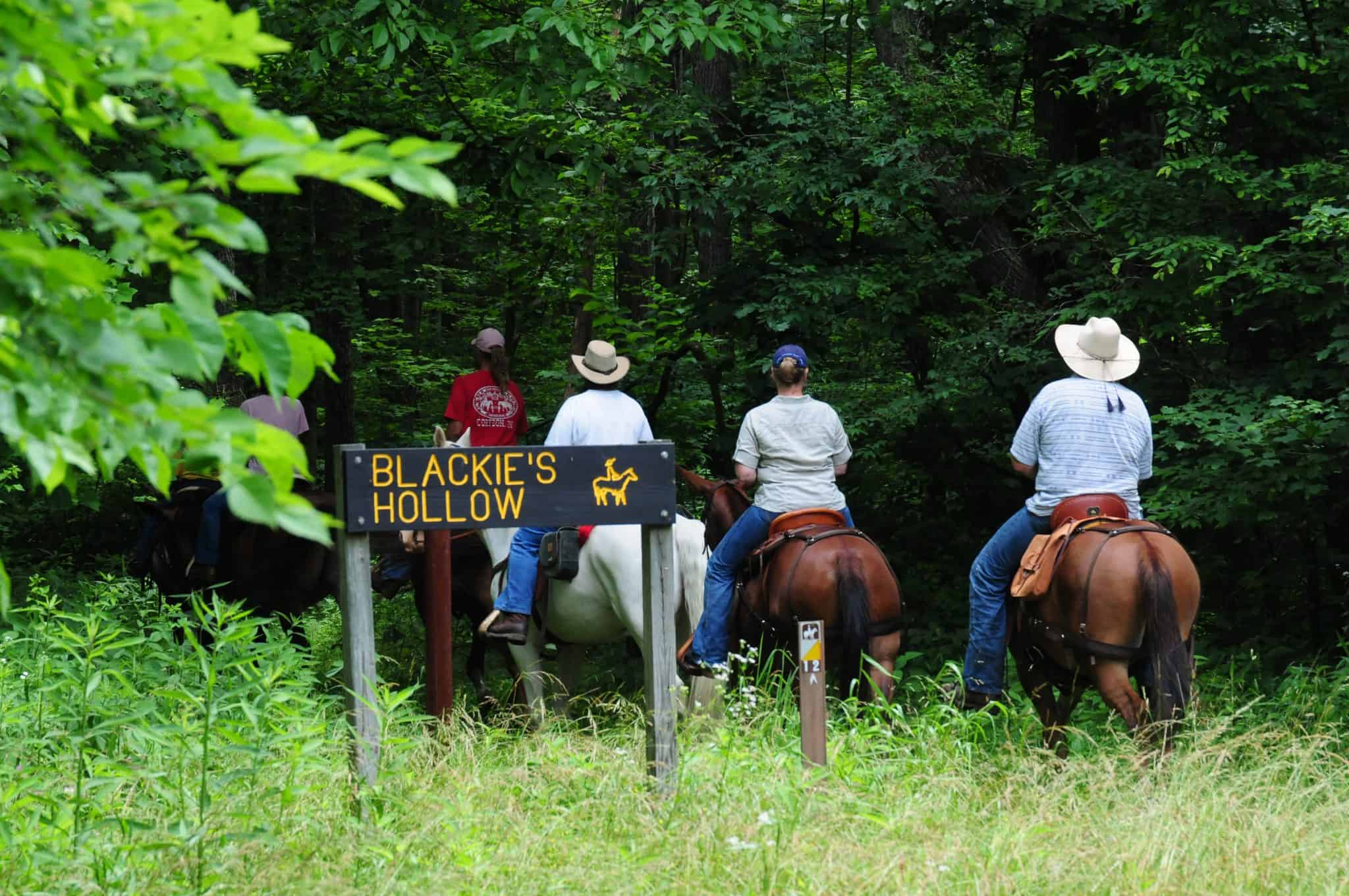 Giddy Up!—Horseback Riding at Indiana's state parks Travel Indiana