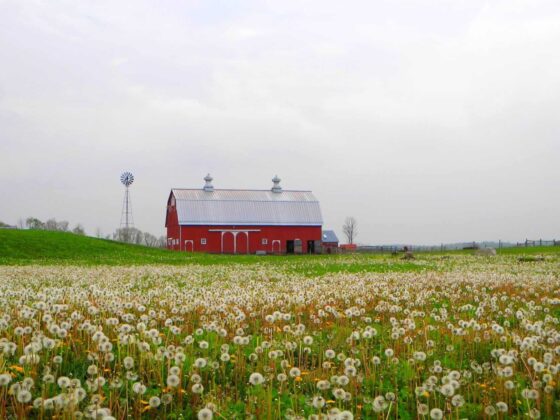 dairy farm tour indiana