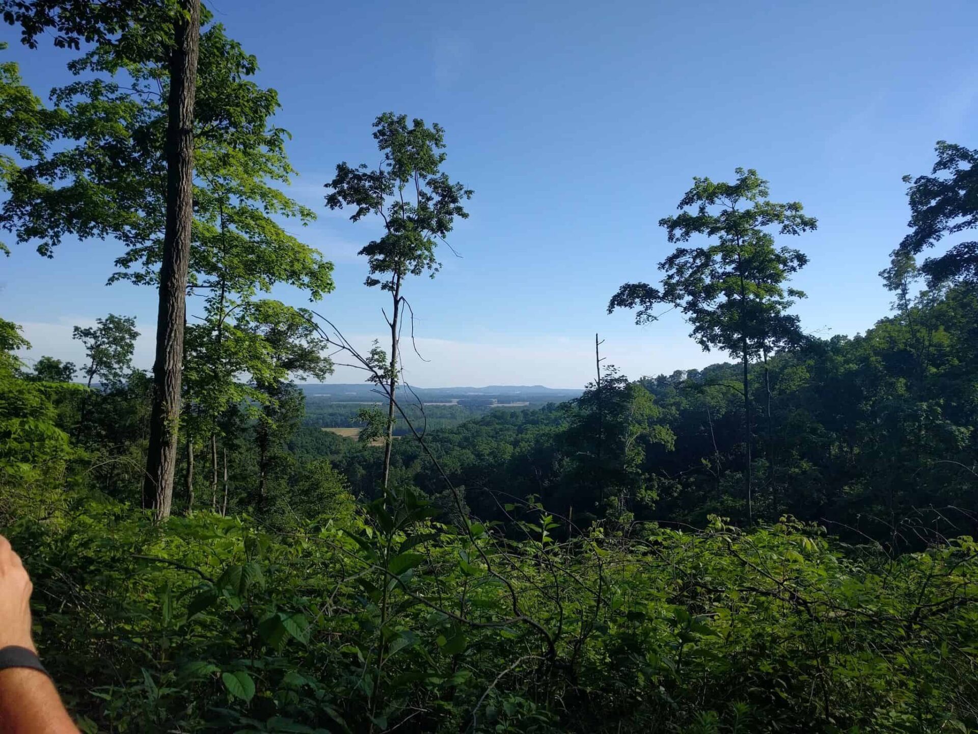 Hit the Knobstone Trail A walk through the woods in Southern Indiana Travel Indiana