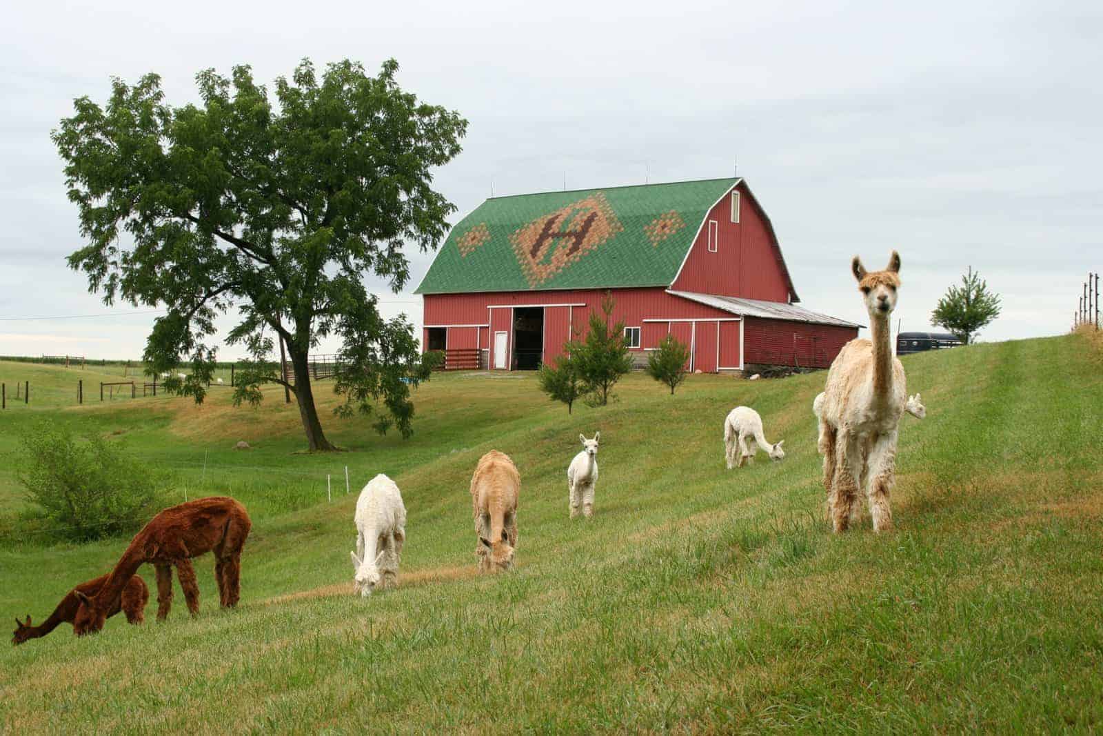 indiana tourist farm