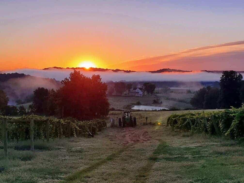 French-Lick-Winery