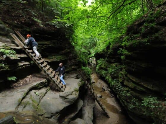 Turkey-Run-State-Park