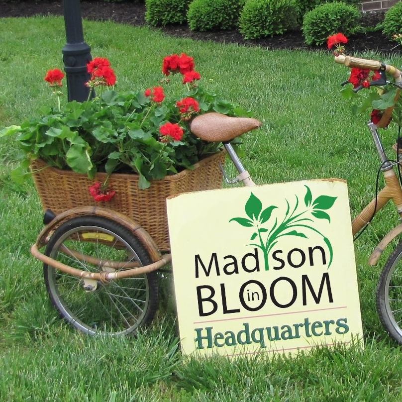 Madison-in-Bloom