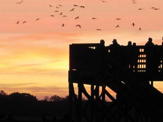 Pulaski-County