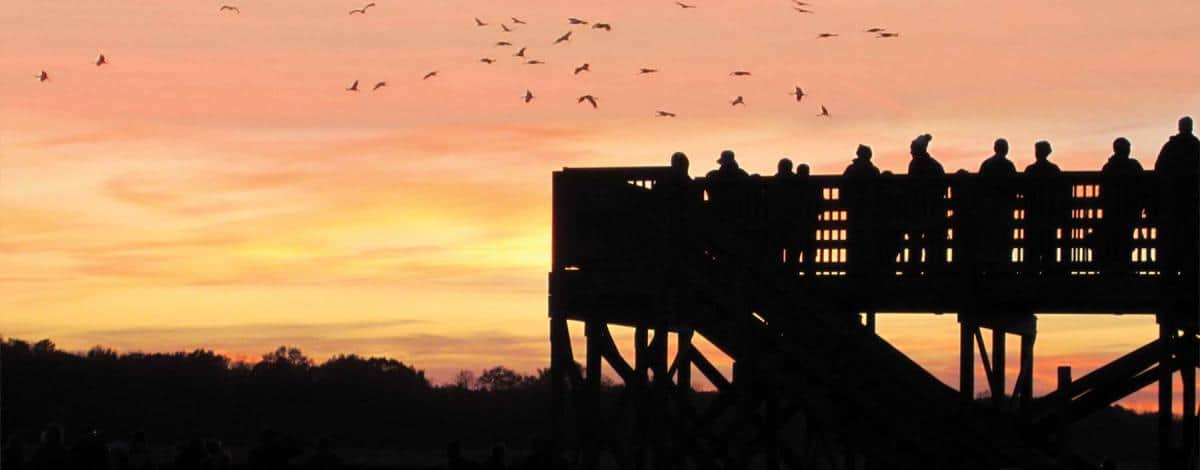 Pulaski-County