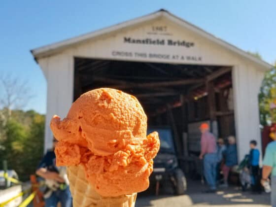 Parke-County-Covered-Bridge-Festival