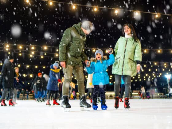 Fair-Oaks-Farms-Ice-Skating