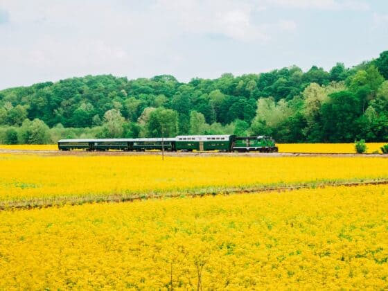 French-Lick-Train
