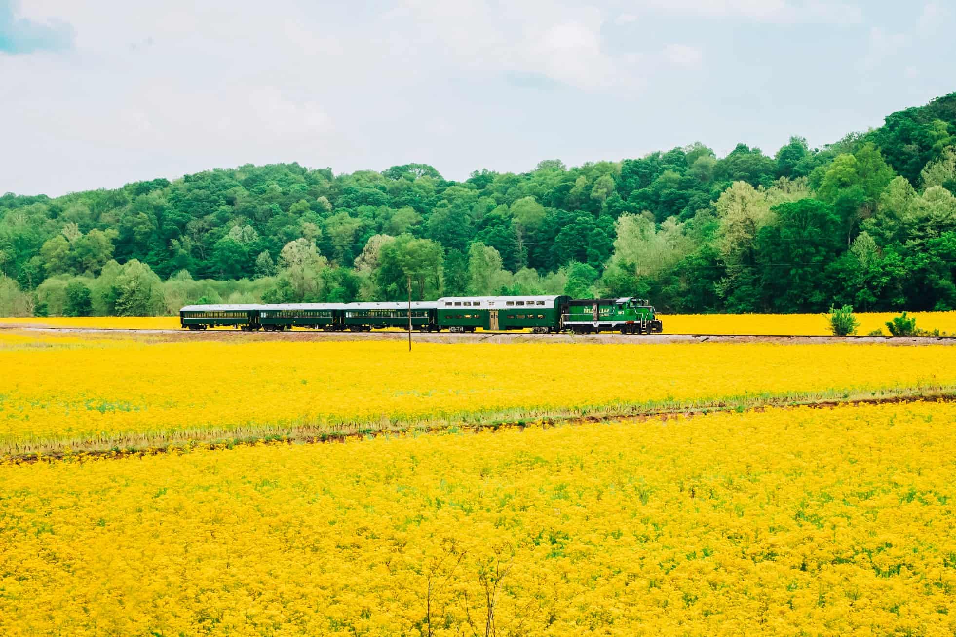 French-Lick-Train