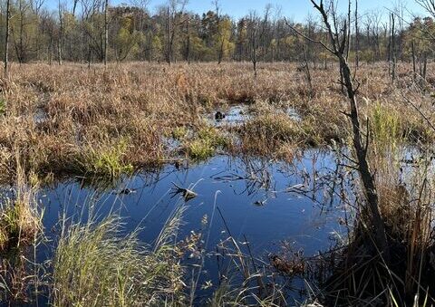 COFFEE-CREEK-WATERSHED-PRESERVE-CHESTERTON