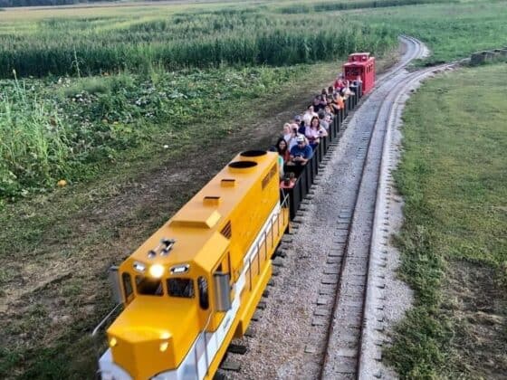 Lark-Ranch-Train-Indiana