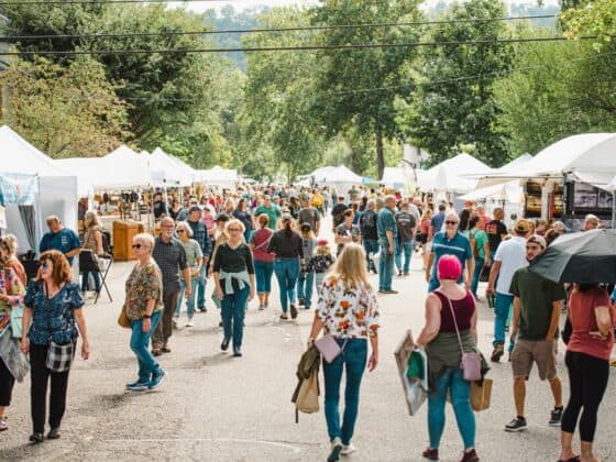 Madison-Chautauqua-Festival-of-Art
