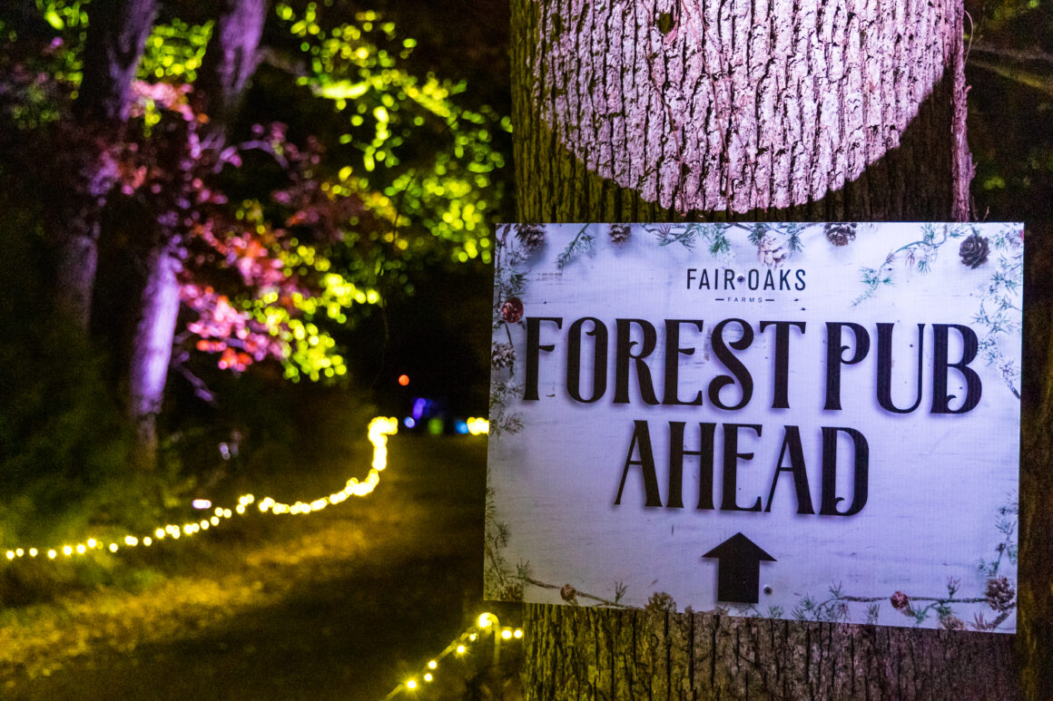 Forest-of-Lights-Fair-Oaks