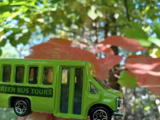 Noble-County-Green-Bus-Tours