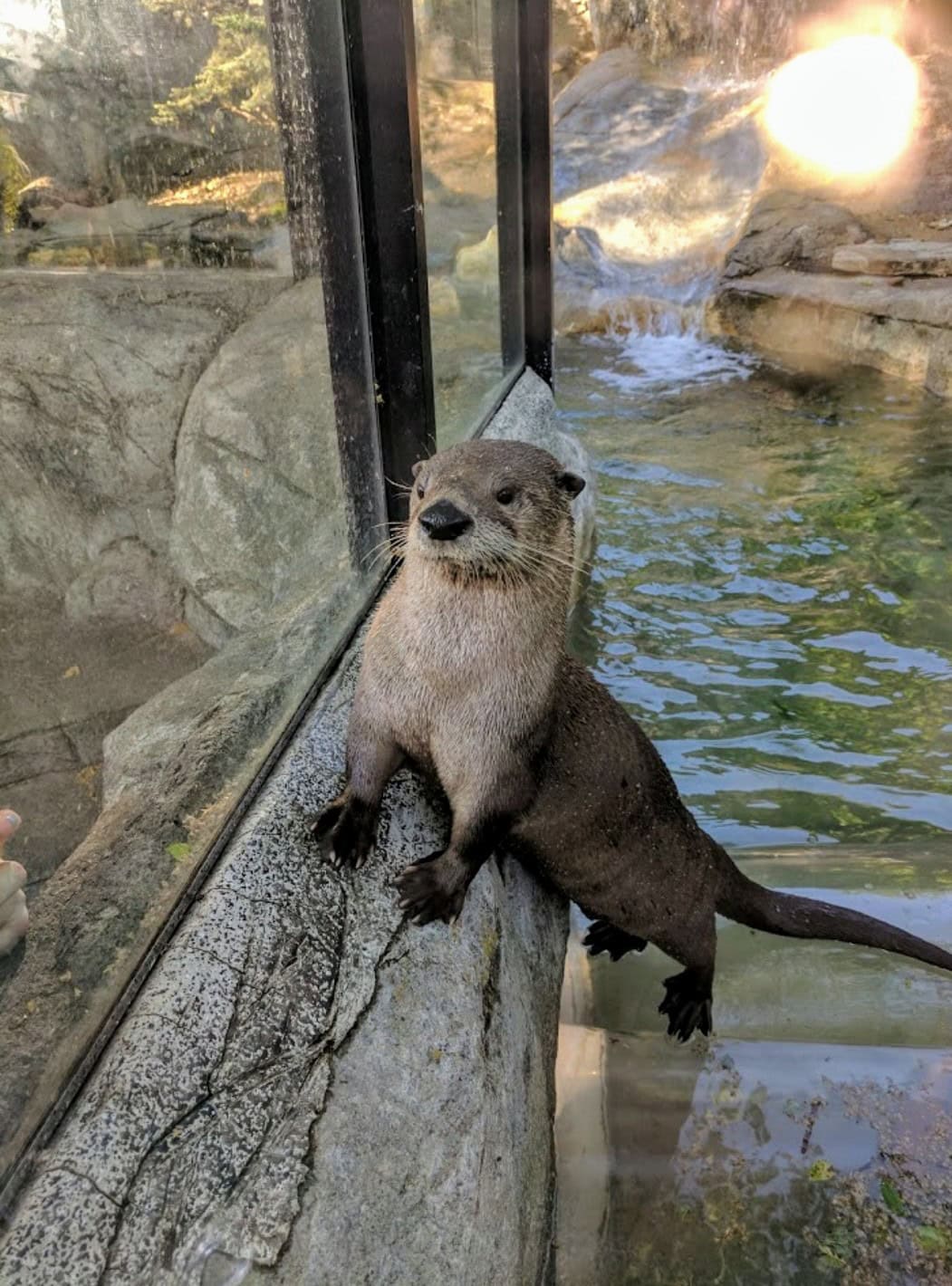 Washington-Park-Zoo-Michigan-City