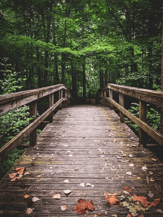 Ouabache-State-Park