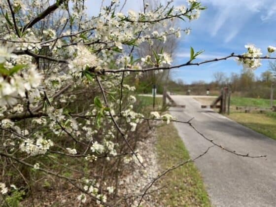 Starke-County-Indiana