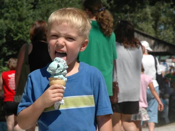 Marshall-County-Blueberry-Festival-Plymouth-IN