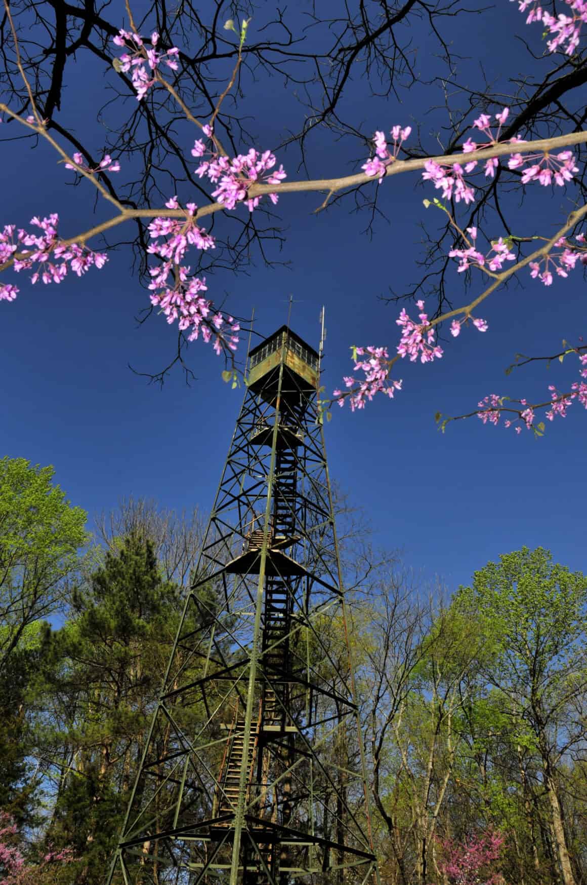 McCormick’s-Creek-State-Park 