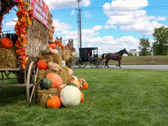 Shipshewana-Indiana