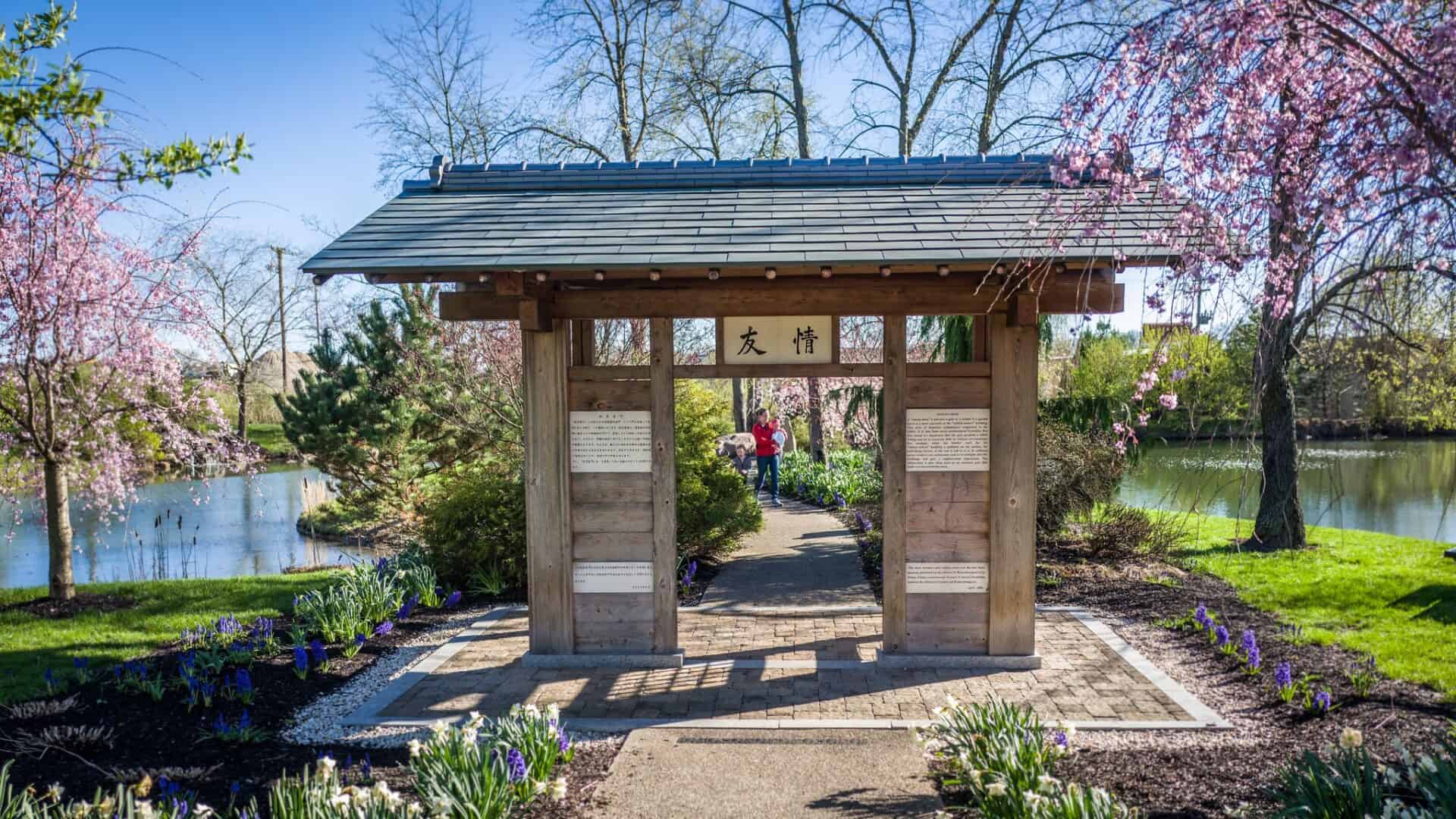 Carmel-Cherry-Blossom-Festival
