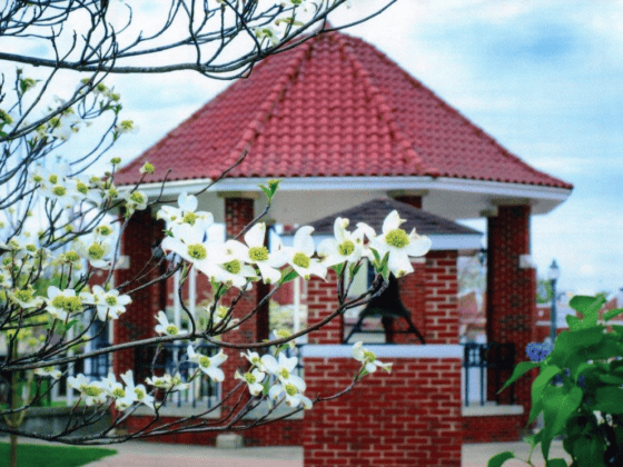 Orleans-Dogwood-Festival