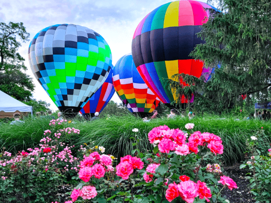 Richmond-Bloom-and-Glow-event