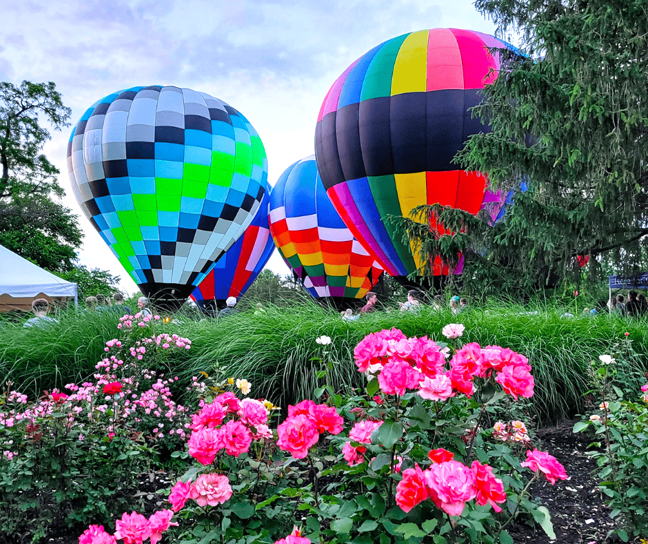 Richmond-Bloom-and-Glow-event