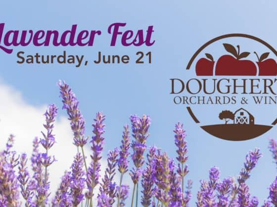 Lavender-Fest-Cambridge-City