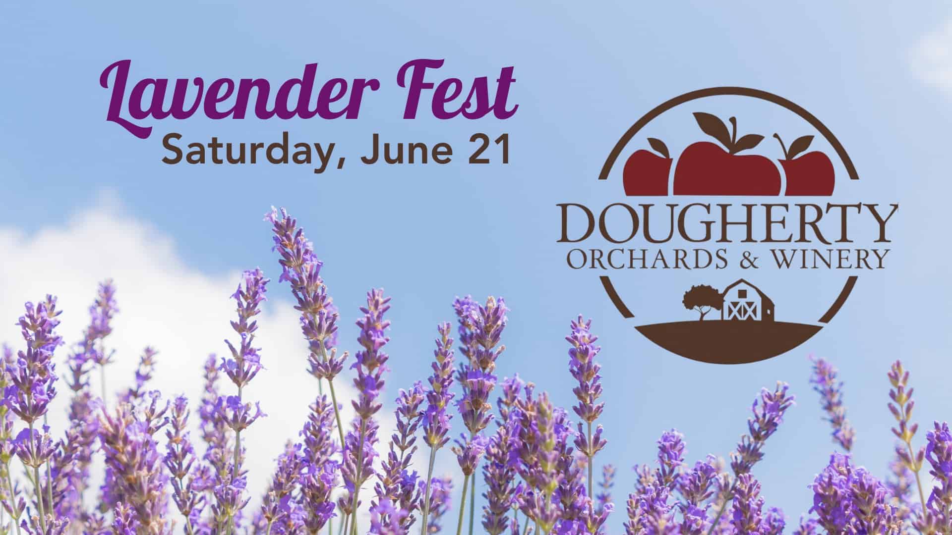 Lavender-Fest-Cambridge-City