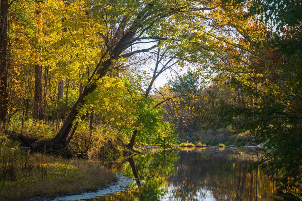 Starkey-Park-Boone-County