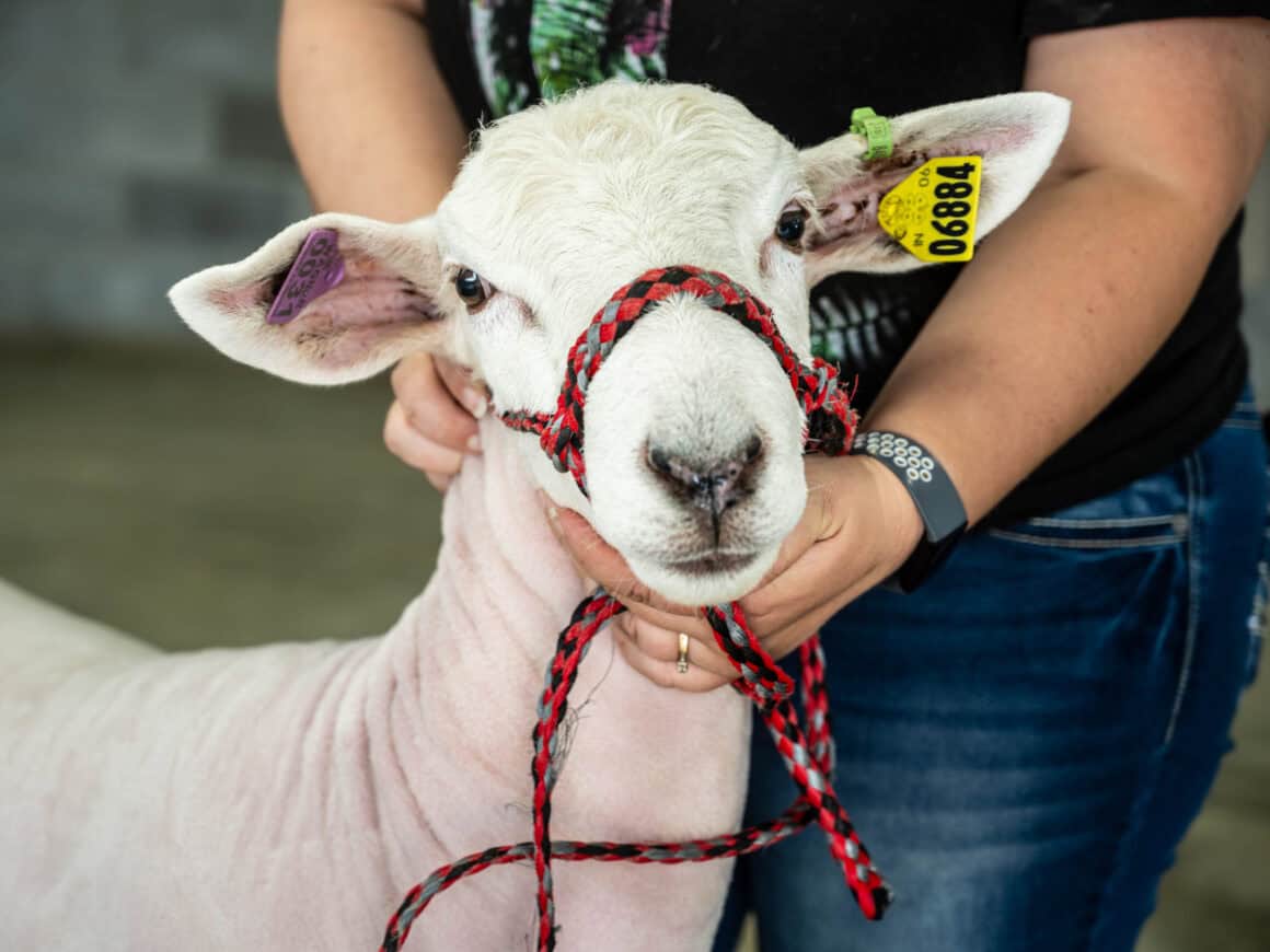 Boone-County-4H-Fair