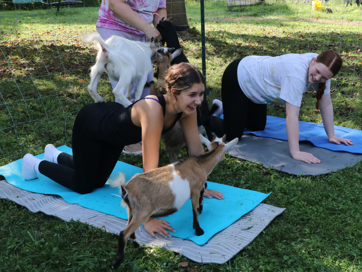 Terre-Haute-Yoga