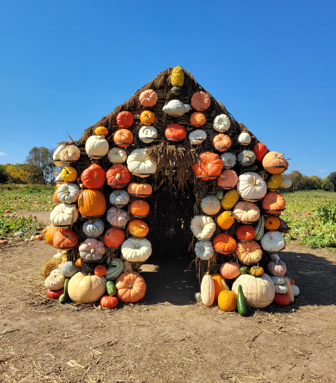 Jones-Family-Farm-Wayne-County