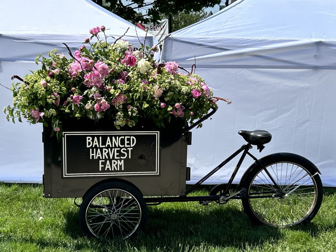 Carmel-Famers-Market
