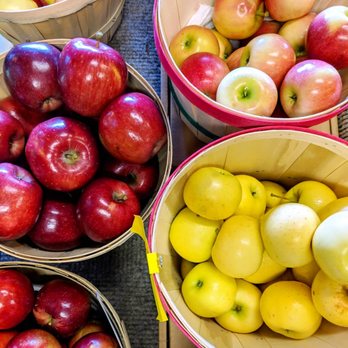 Ditzlers-Orchard-Parke-County