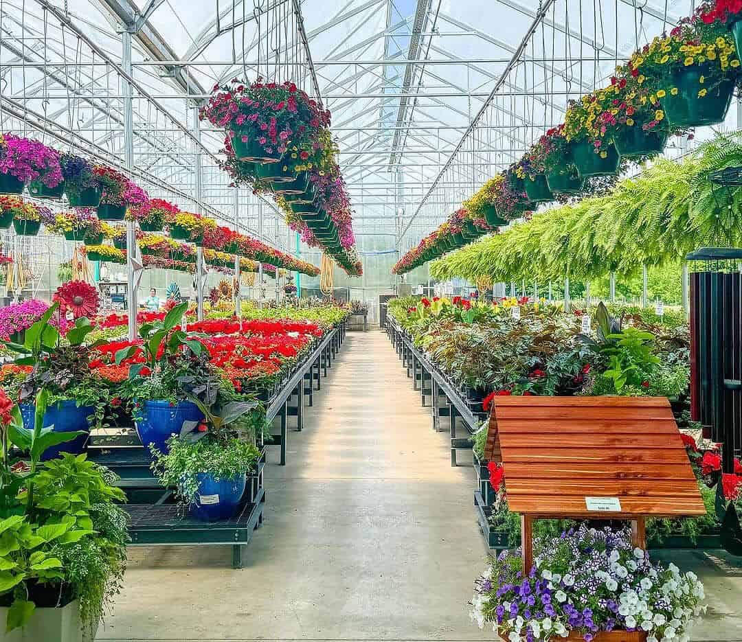 Rockville-Farm-Market