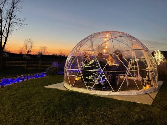 Igloo-Dining-Fair-Oaks-Farms