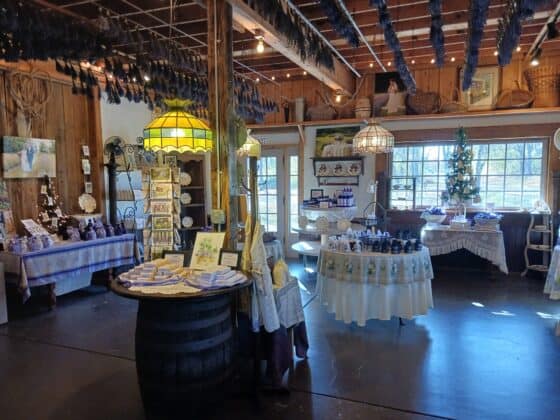 Willow-Lavender-Farm-Holiday-Open-House