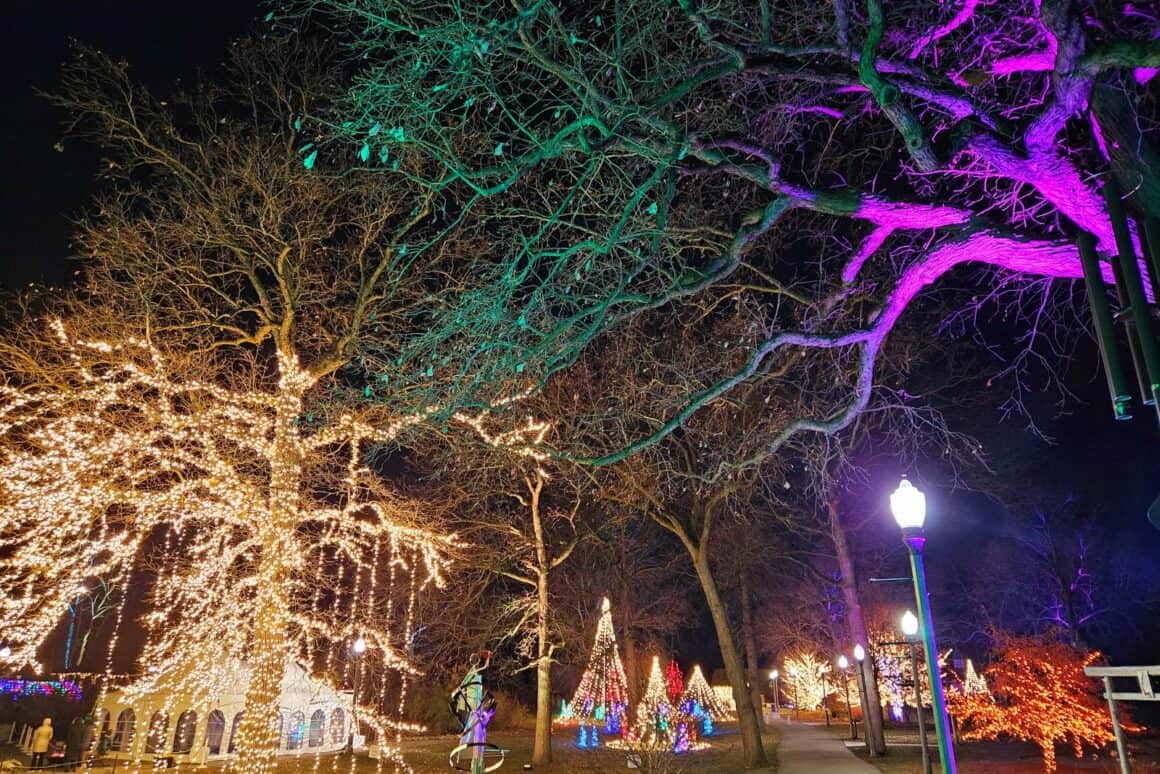 Wellfield-Winter-Wonderland