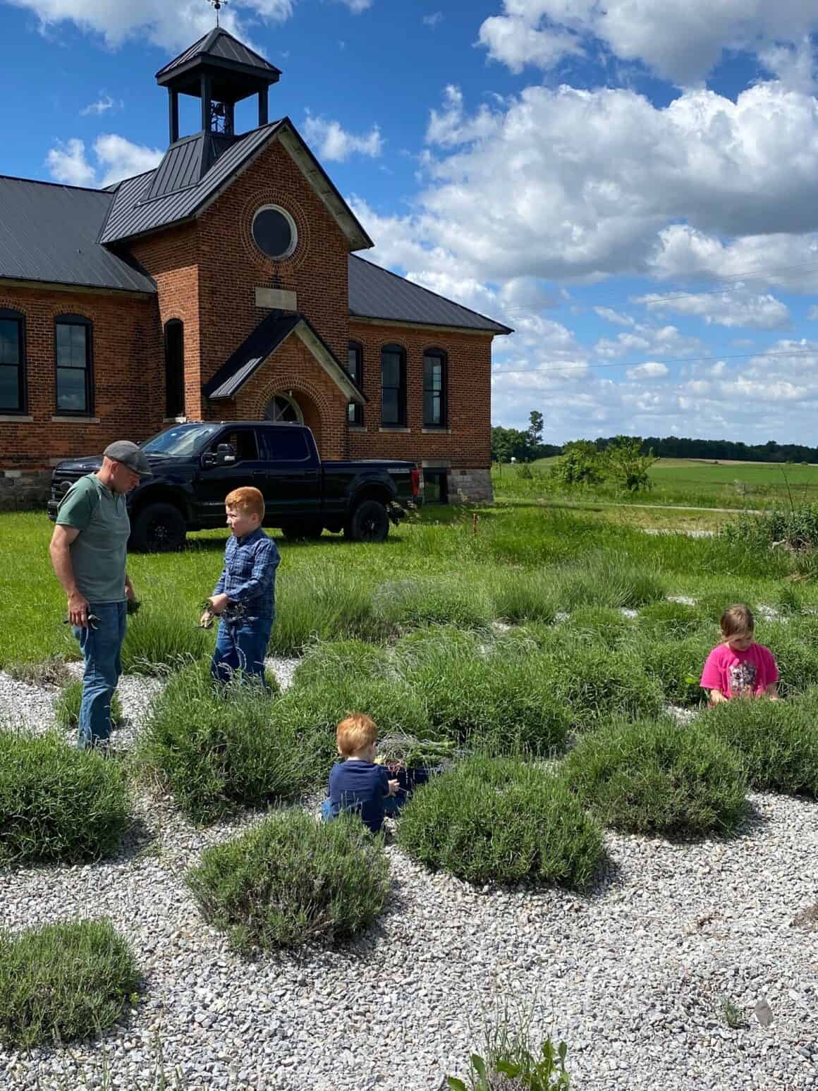 Bloomfield-Schoolhouse-Lavender-Shipshewana