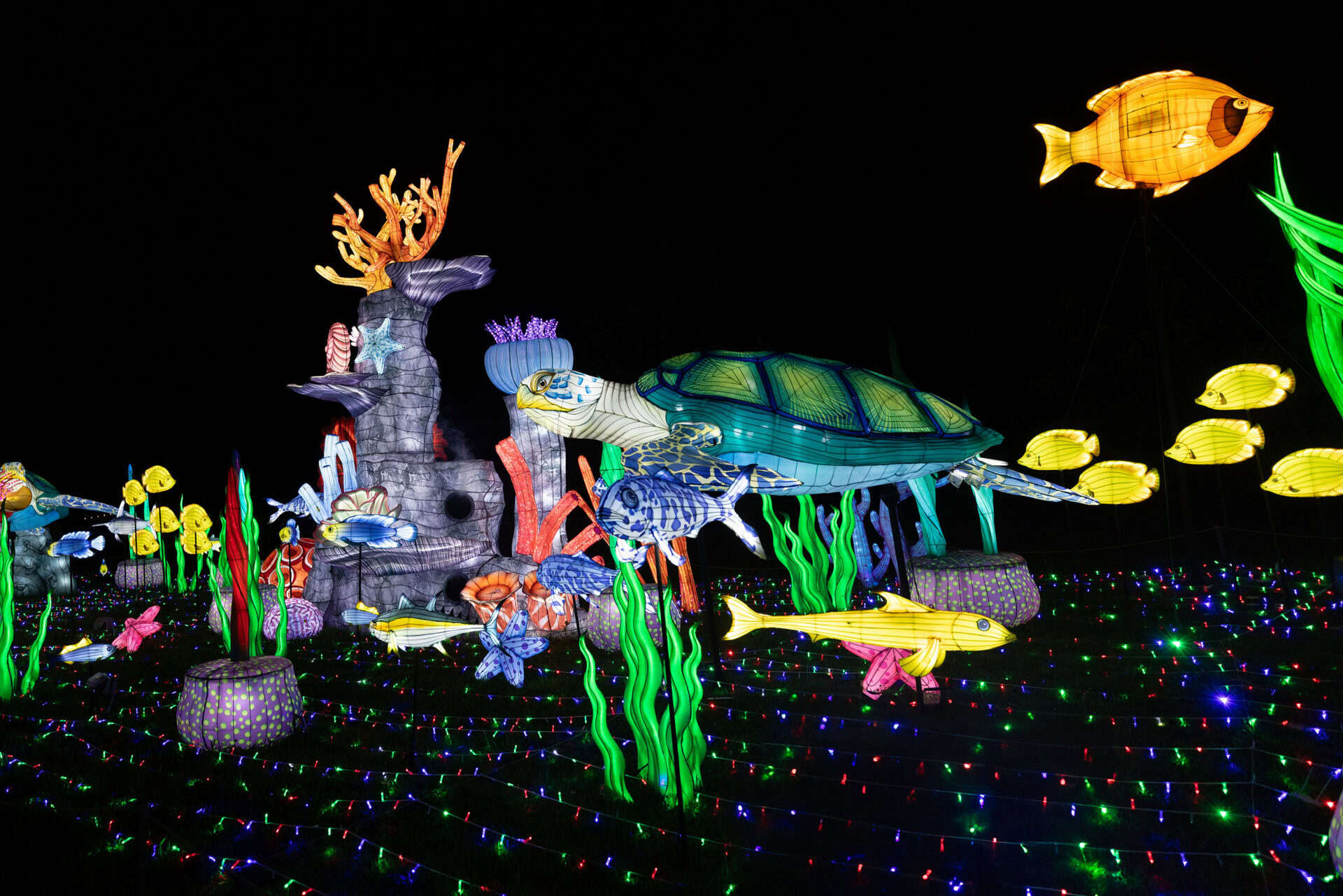 Potawatomi-Zoo