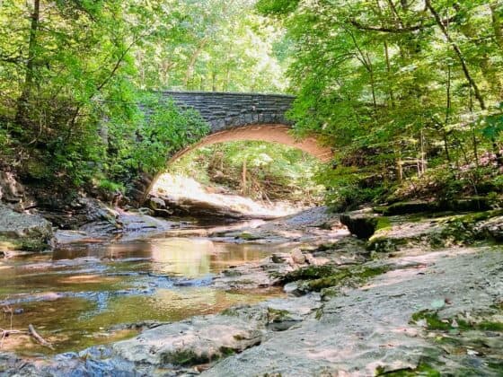 Stone-Arch-Bridge-McCormick's-Creek-Spencer
