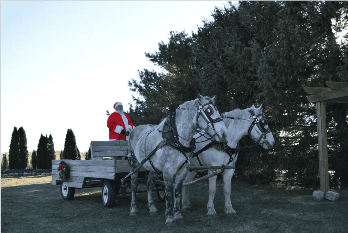 Pulaski-County-Hometown-Celebration