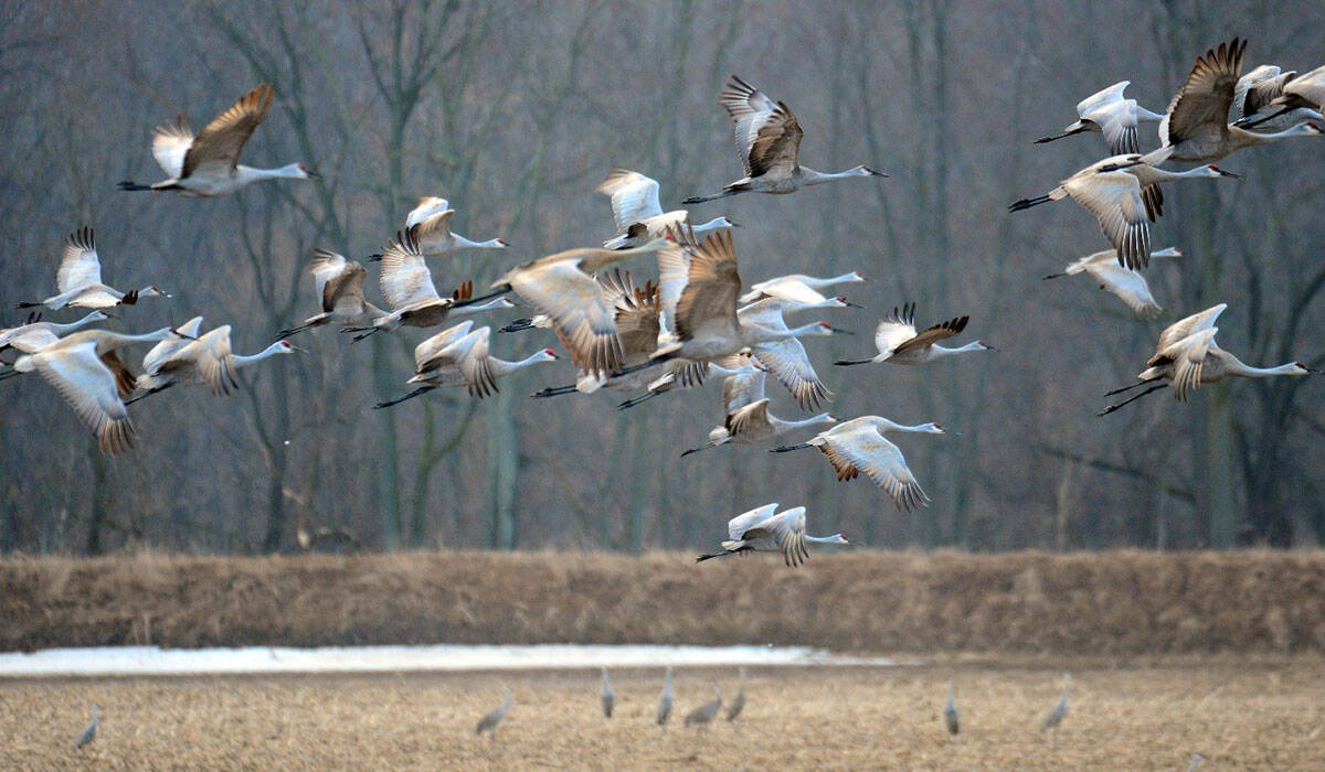 Pulaski-County-Indiana